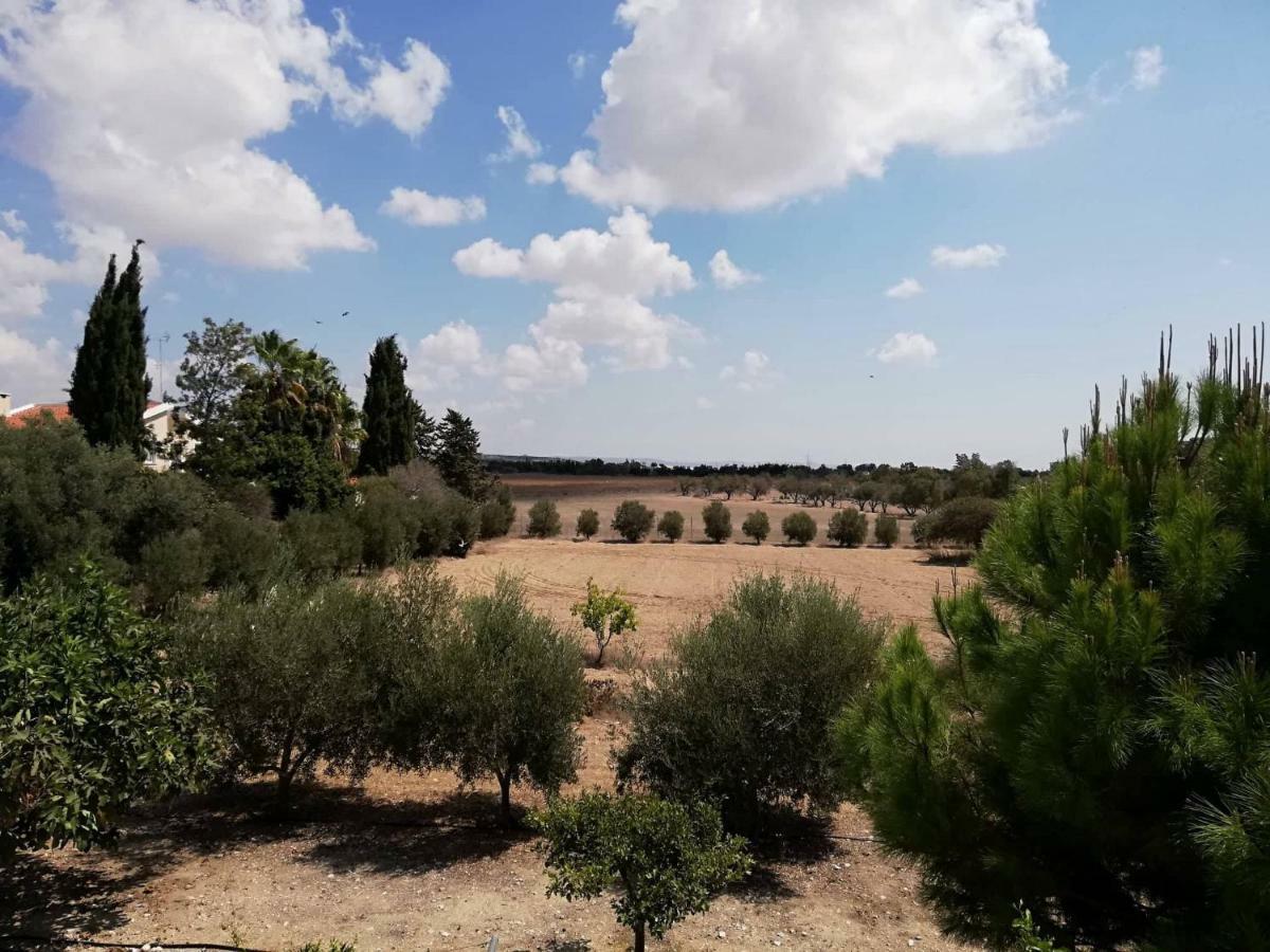 Villa Golden Sun Paphos